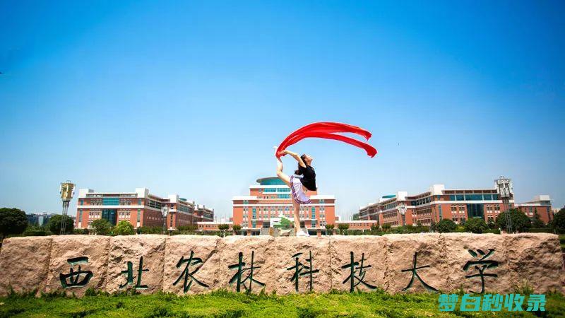 西安各大学2024年暑假放假时间