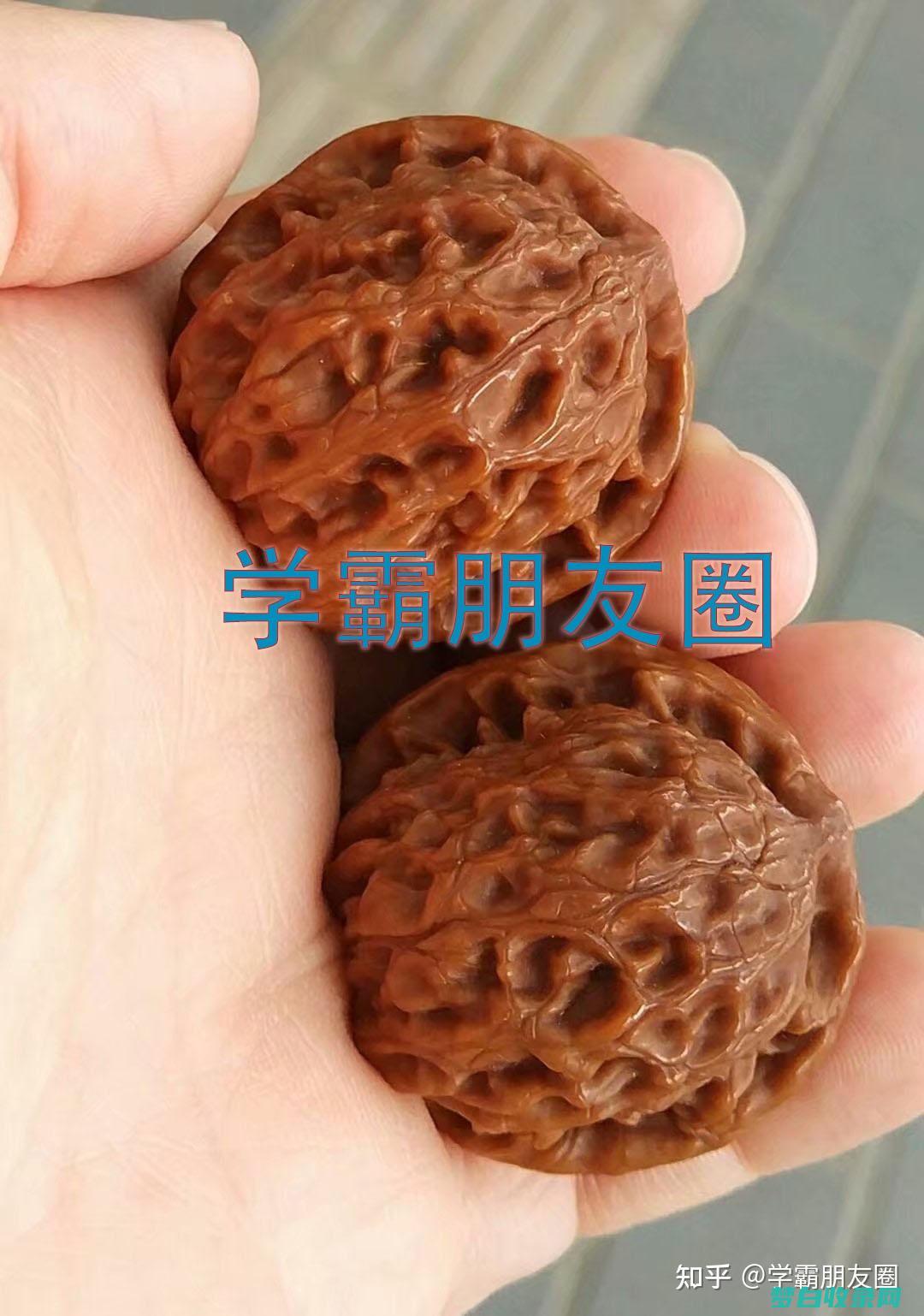 平板在核桃编程怎么用