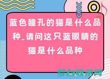 请问这是刻画什么中央的景色 看万山红遍 层林尽染…… 橘子洲头 (请问这是刻画的意思吗)