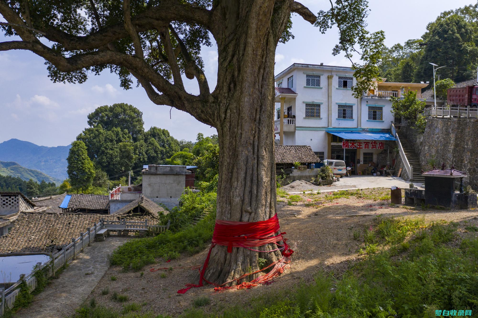 贵州：自然奇观与文化遗产的交汇之地 (贵州自然奇石图片大全)