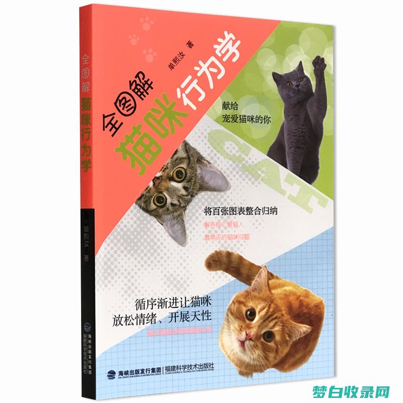 猫咪行为指南：了解你的猫咪语言和肢体语言 (猫咪行为指南图片)