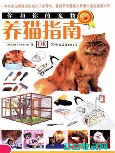 猫咪养护秘诀：保持猫咪幸福、健康和快乐 (猫咪养护秘诀是什么)