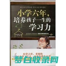 小学教育的重要性：塑造孩子未来的基石 (小学教育的重要性主要体现在哪些方面)