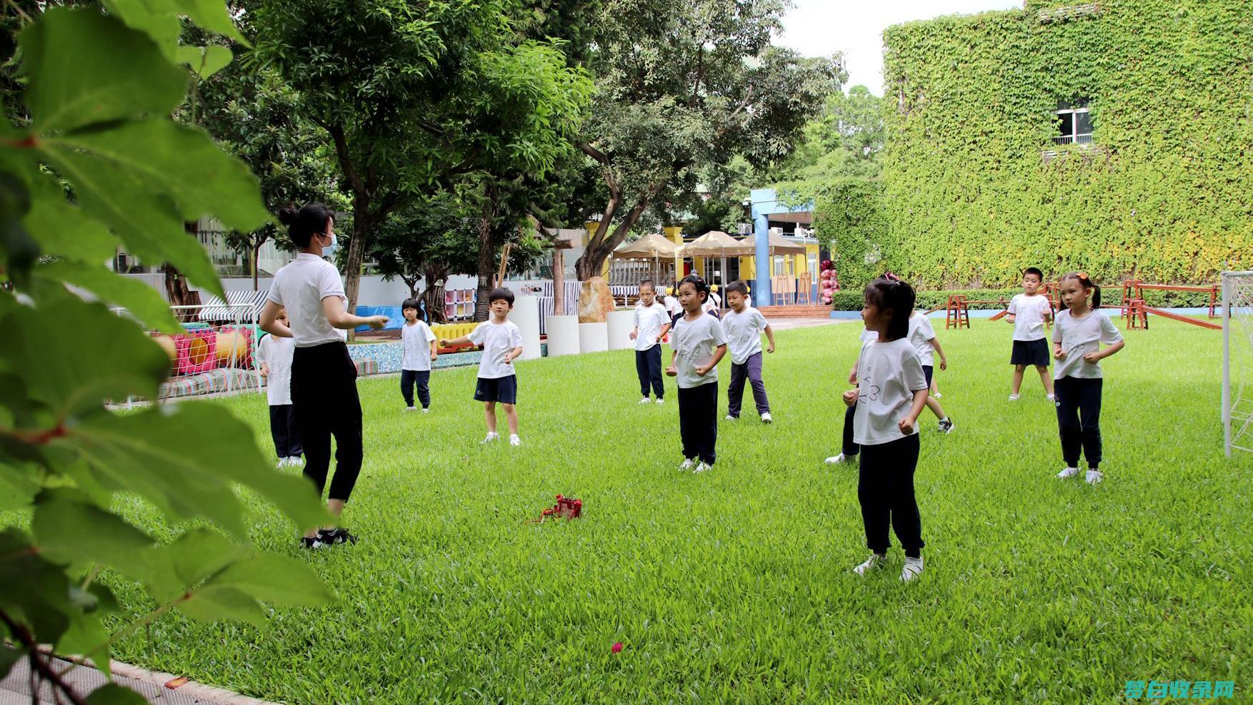 促进小学儿童识字：点燃阅读的热情 (促进小学儿童创造力发展的创造技法主要有)