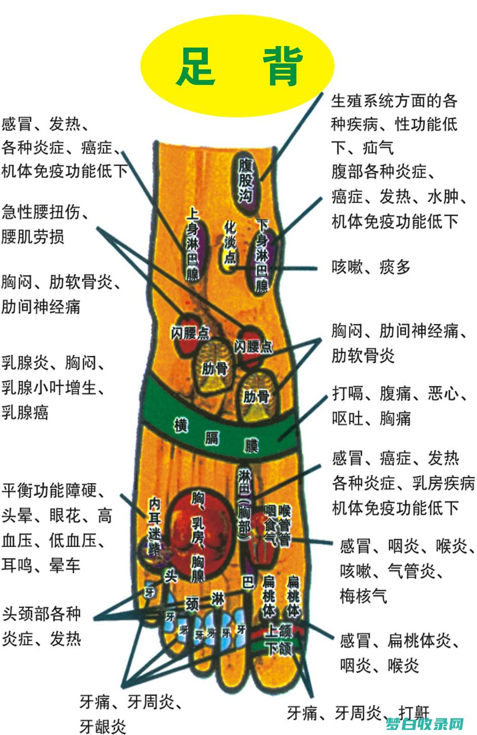 足部舒适的终极选择：拖鞋的材质、设计和款式 (舒适足疗)