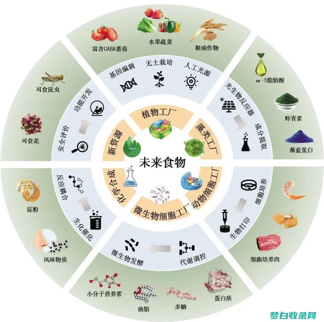 米饭的可持续性：保护我们的粮食来源，确保未来 (米饭储存的能量是什么)