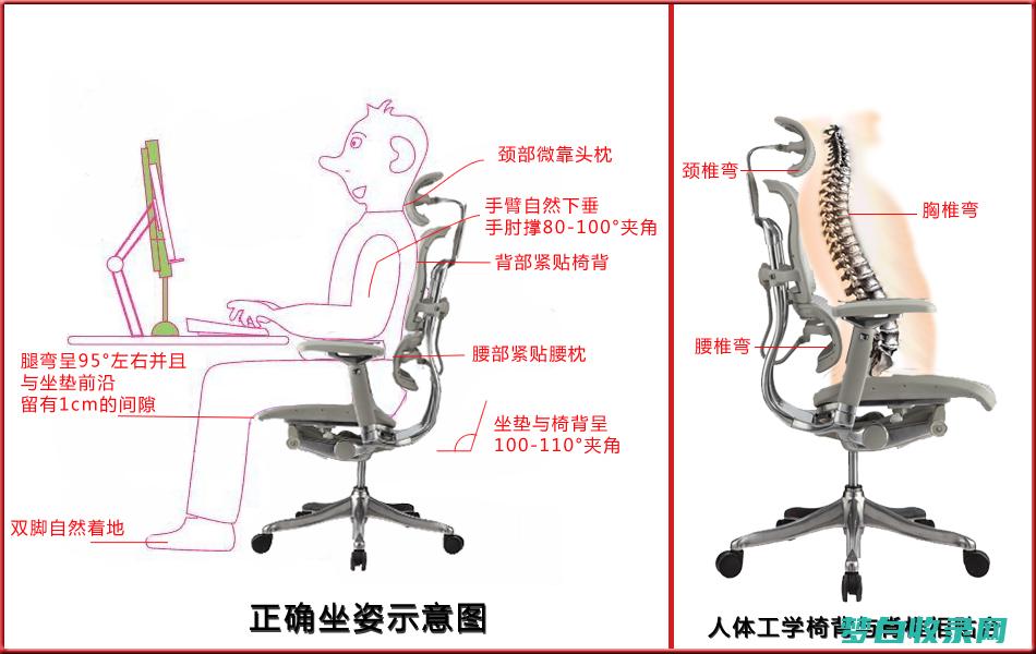 用符合人体工程学的手机壳享受舒适的握持感，让您的手机使用更轻松 (符合人体工学设计)