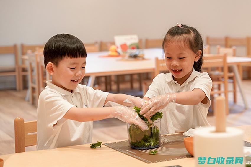 社交情感学习在课堂上的作用：培养学生的整体健康 (社交情感策略的定义)