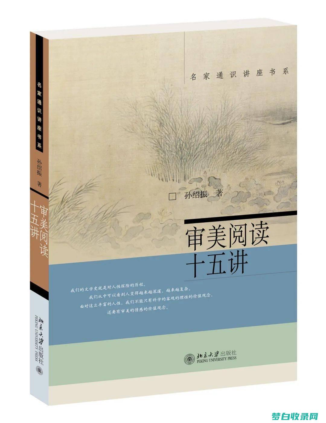 批判性思维：小学教育中培养学生的分析和解决问题能力 (批判性思维书籍)