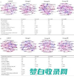 动物的适应性：大自然中不可思议的生存策略 (动物的适应性活动例子)