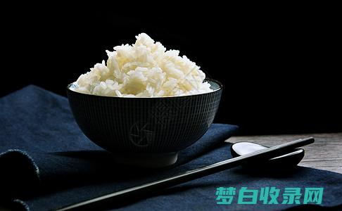 米饭的品种：从长粒米到短粒米 (米饭的品种)