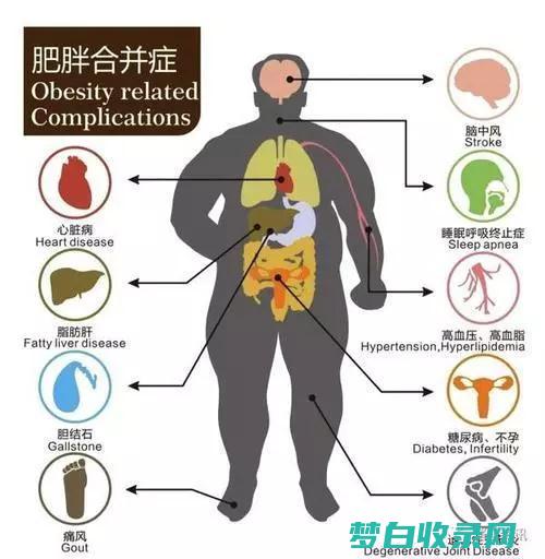 可乐与肥胖：复杂而多方面的问题 (可乐与肥胖的关系)