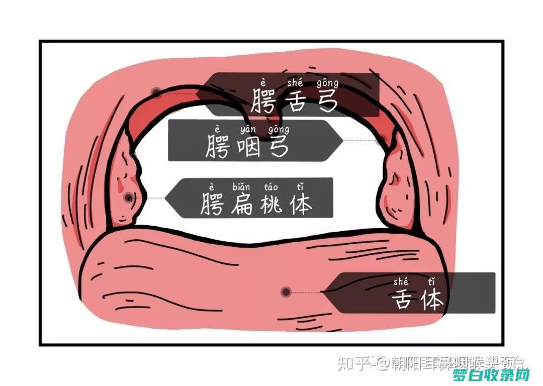 对抗扁桃体发炎的秘密