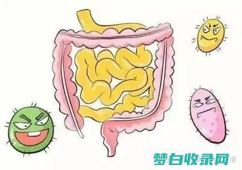 终结肠道困境：如何快速缓解便秘症状 (终结肠道困境怎么办)