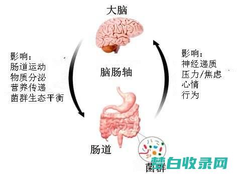 缓解肠道压力：释放便秘的天然疗法 (缓解肠道压力的药物)