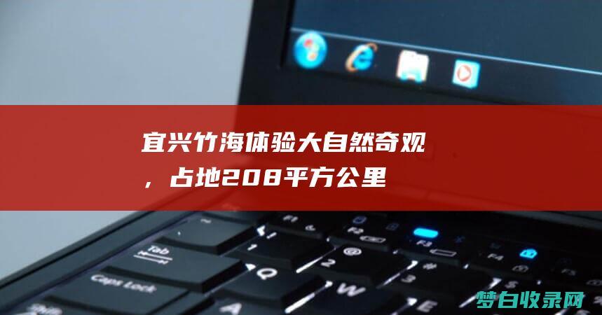 宜兴竹海：体验大自然奇观，占地208平方公里，占整个景区面积的1% (宜兴竹海体会)