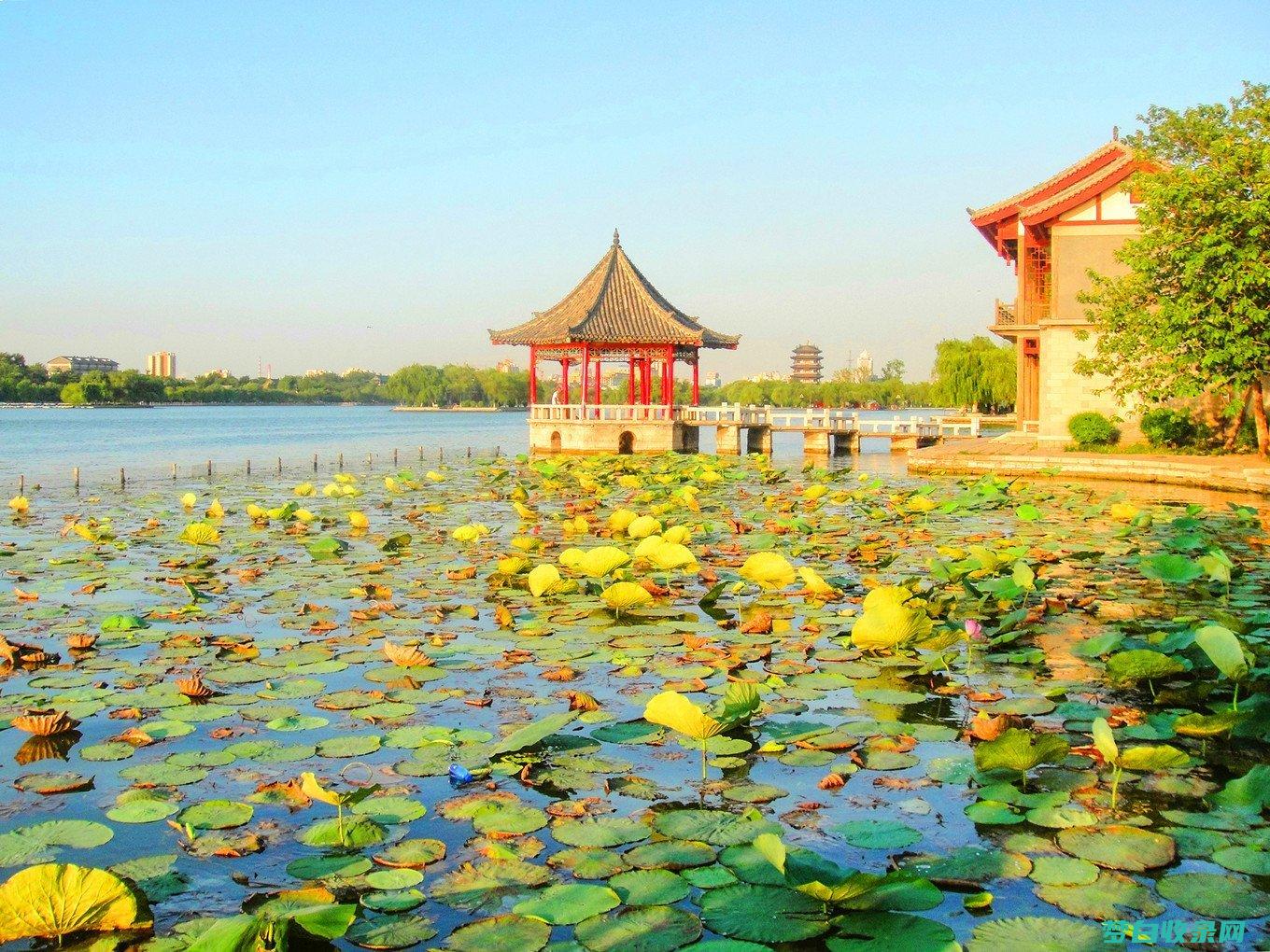 济南市适合情侣的景点：浪漫泉城之旅 (济南市适合情侣吃饭的地方)