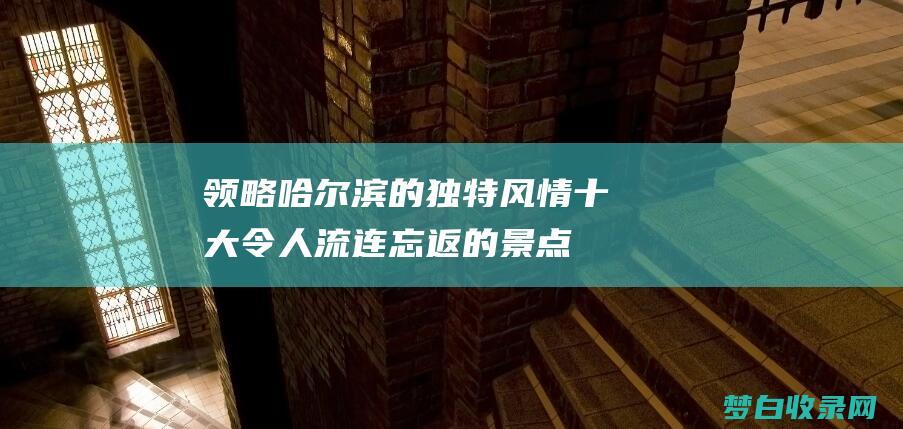 领略哈尔滨的独特风情十大令人流连忘返的景点