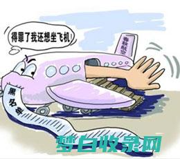 春秋航空无手续费机票：省时省力，尽享便利 (春秋航空无手机能飞吗)