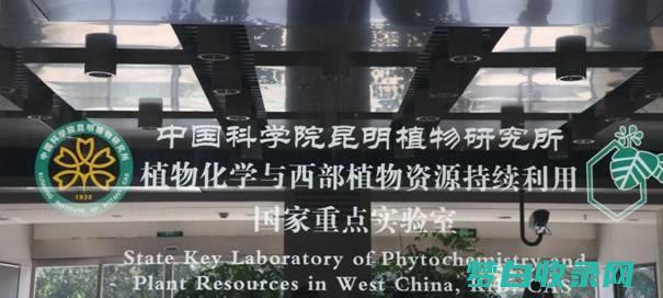 揭秘云南 15 个鲜为人知的天堂，仅限少数人参观 (揭秘云南白药窝案爆发背后)