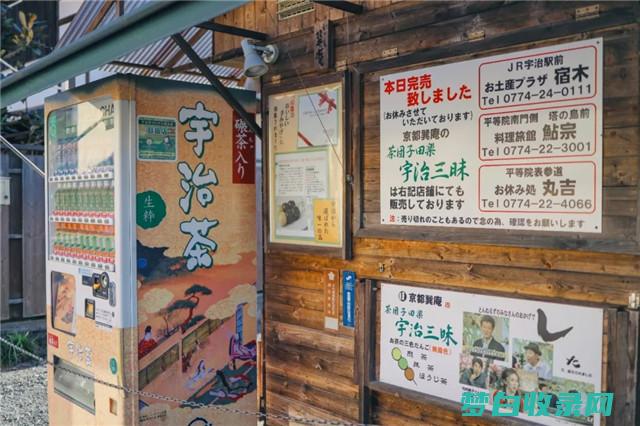 日本旅游新手须知：10项必备物品，让你的旅程无忧 (日本旅游步骤)