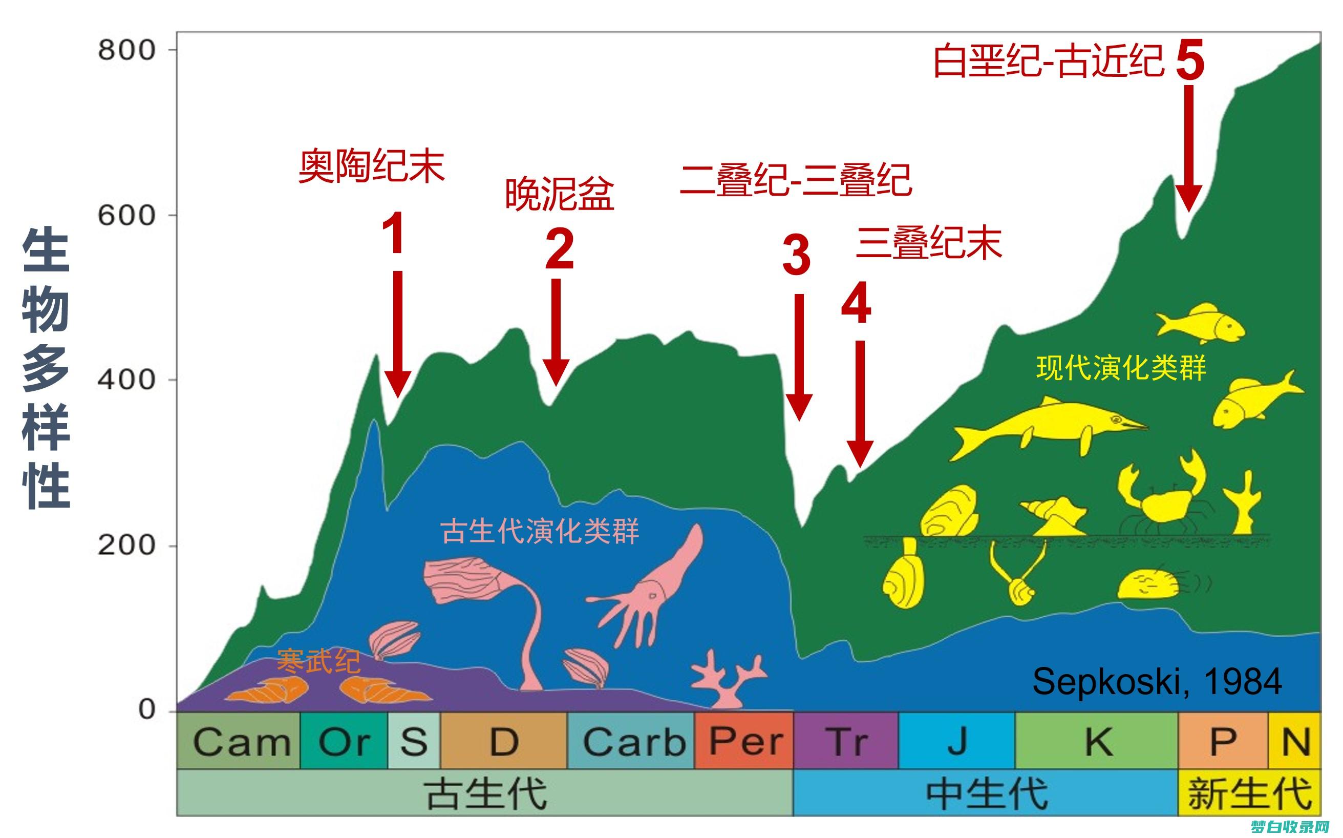 海洋生物大PK！上海水族馆与海昌海洋公园，哪家更值得一看？ (海洋生物大PK)