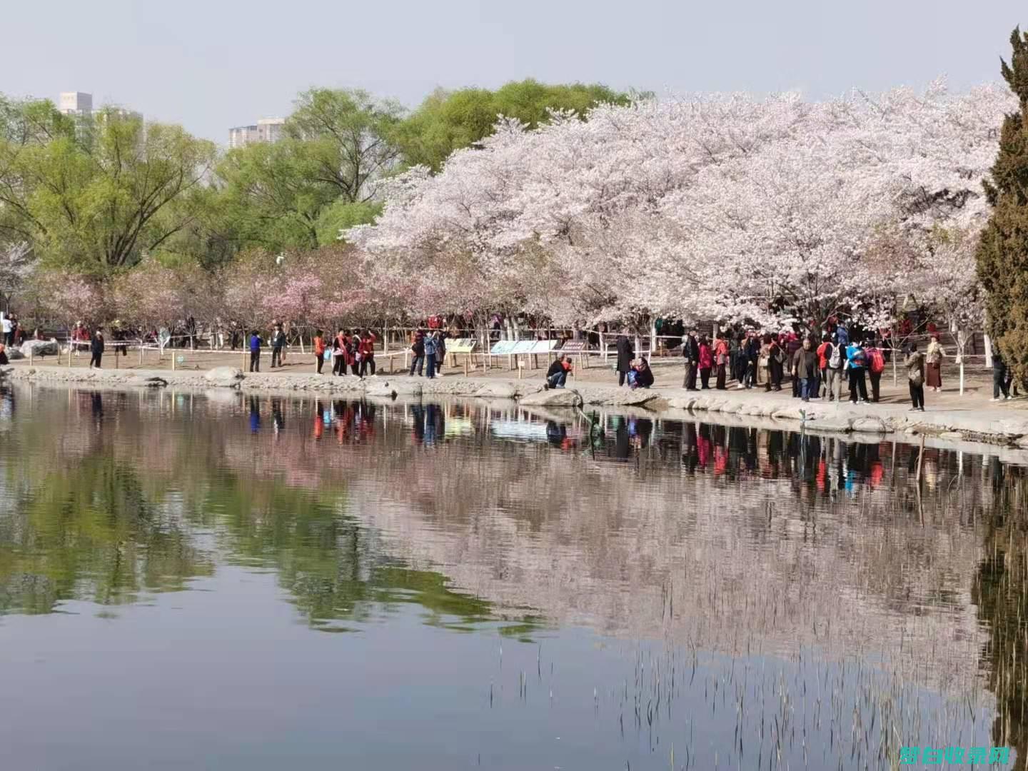 玉渊潭公园：占地 320 公顷，拥有 7 个湖泊，是休闲娱乐、享受自然美景的理想场所 (玉渊潭公园相亲角时间表)