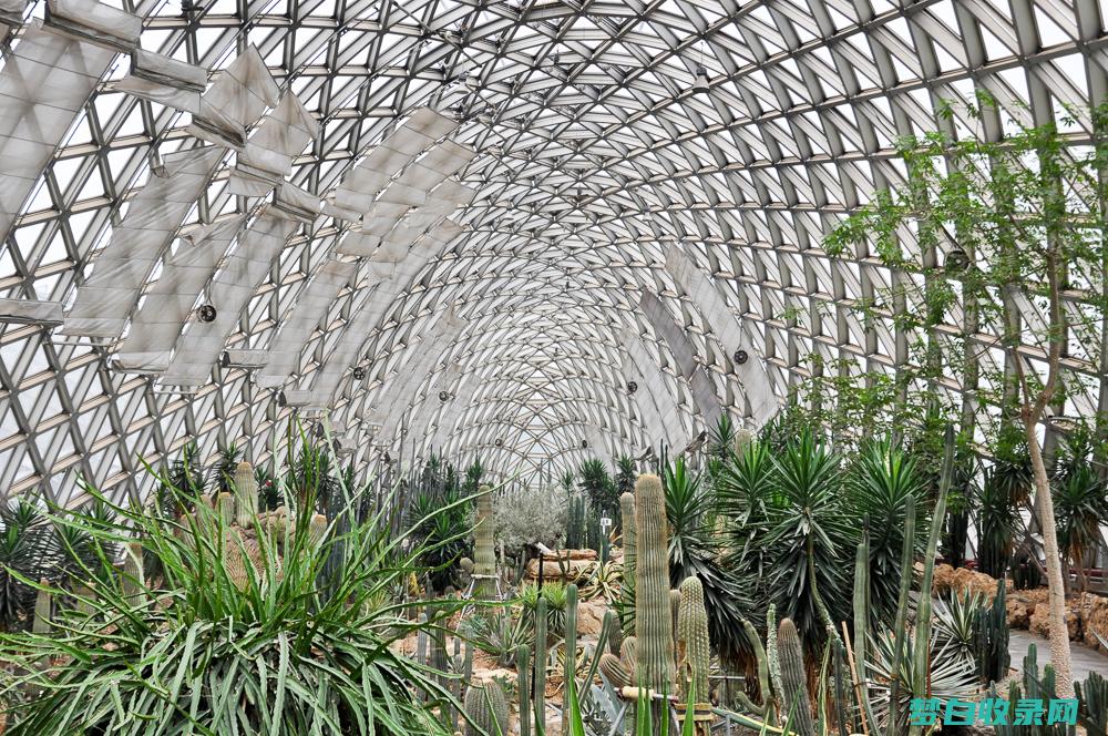 参观温室花园和户外植物展示区(参观温室花园的感受)