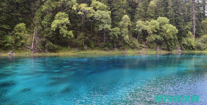 九寨沟门票指南：计划您的旅行，避免价格陷阱 (九寨沟门票多少钱一张?)