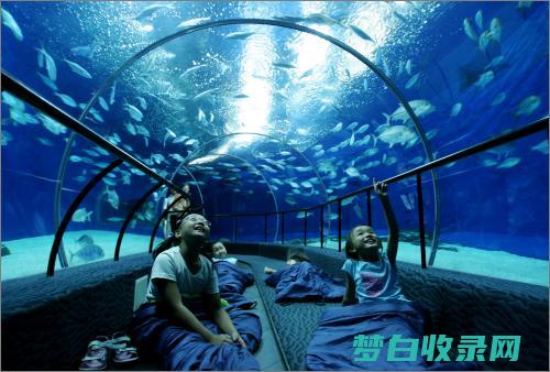 上海海洋水族馆 10% 折扣指南：一日游省钱攻略 (上海海洋水族馆门票多少钱)