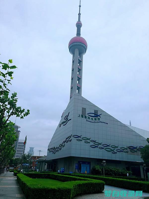 上海海洋水族馆亲子一日游：探索海洋世界，增进亲子感情 (上海海洋水族馆门票多少钱)