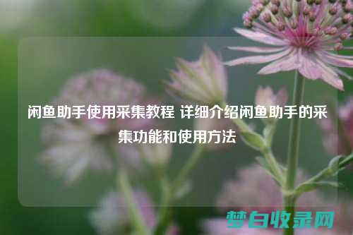 怎样用闲鱼自提发货