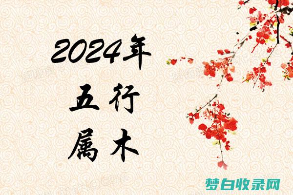 2024多大属什么生肖2024年各生肖年龄表