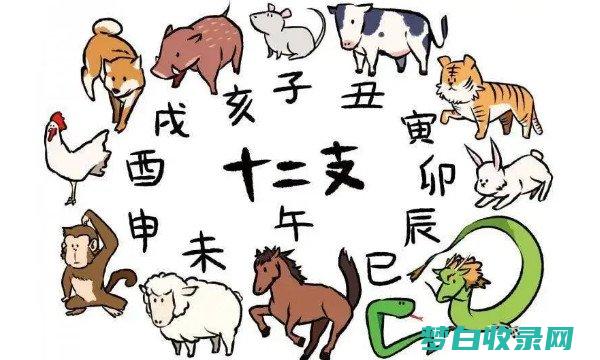 生肖属相年份年龄对照表 (生肖属相年份对照表大全)