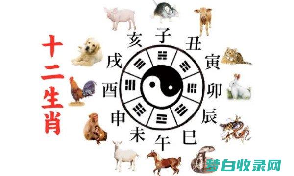 十二生肖年份表排序 十二生肖对应年份 (十二生肖年份顺序)