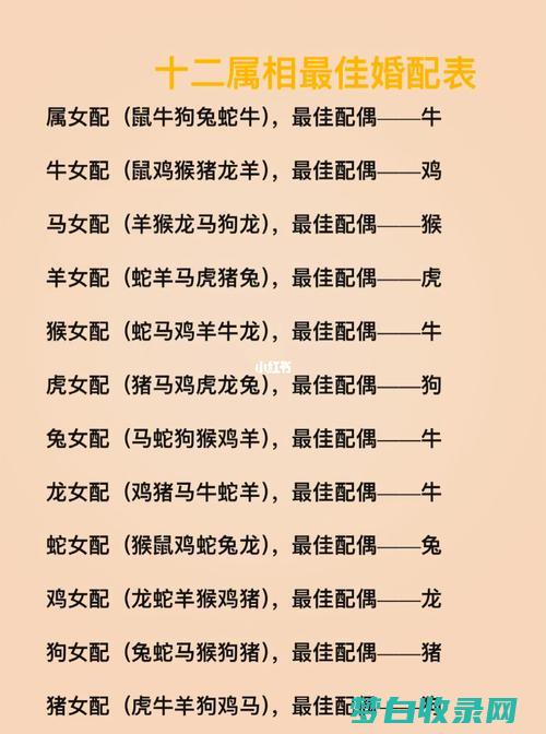 婚姻看属相准不准 看八字还是看生肖 (婚姻看属相准吗可信吗)