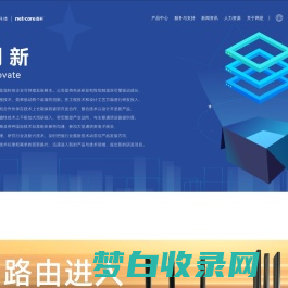 网是科技（netcore磊科）