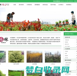 [长景园林] 苗木批发基地-绿化公司-提供苗木报价-品种名称图片查询-三点水商贸