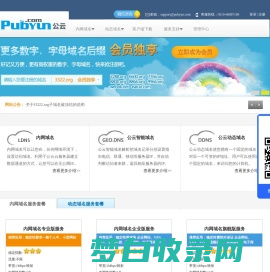 专业的云计算、动态域名服务提供商 - 公云PubYun