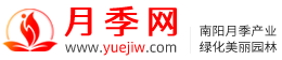 月季网 - 树状藤本大花苗，月季批发交易基地